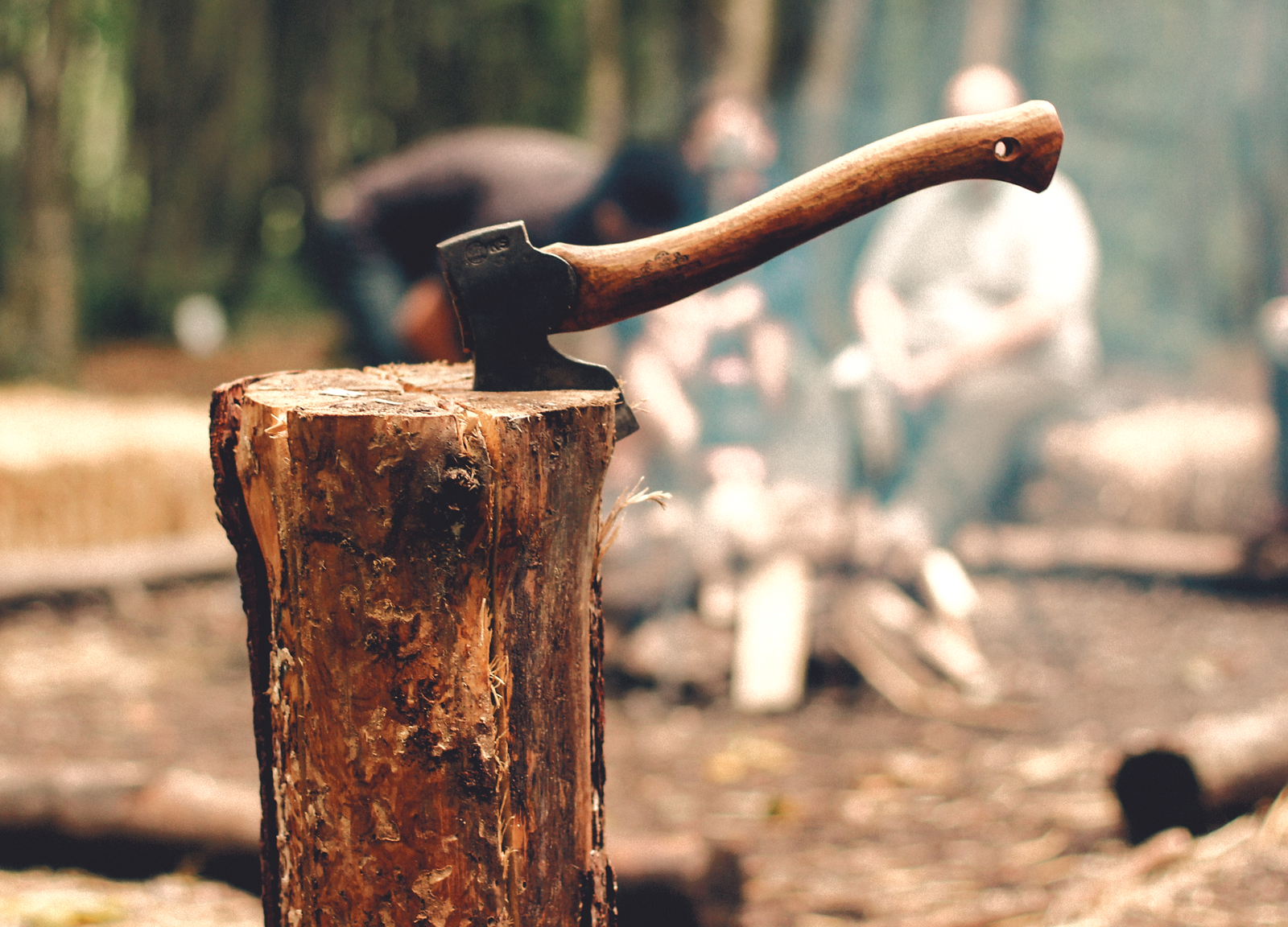 Axe in Tree Stump_edited_edited_edited_edited.jpg